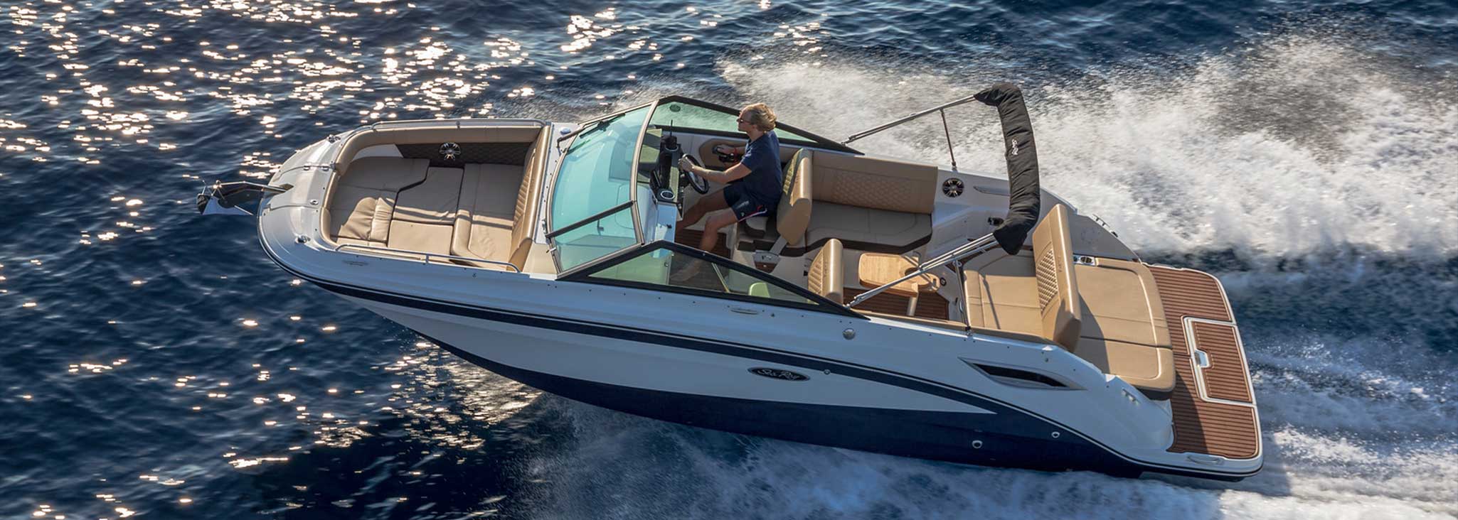 Sea Ray SDX 250