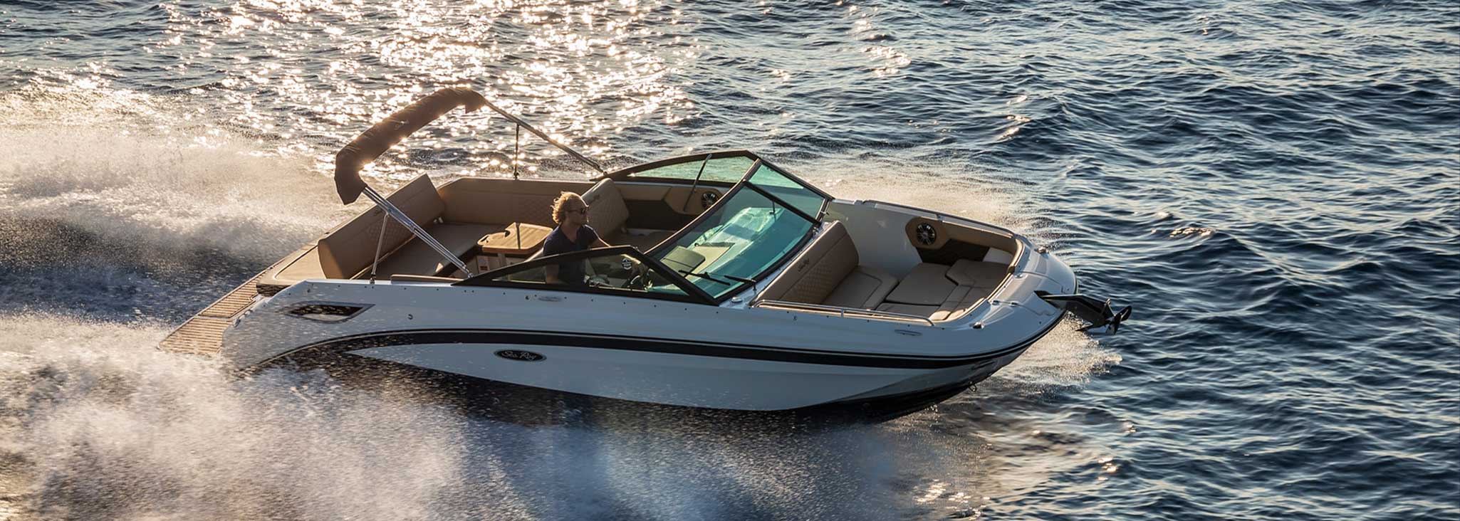 Sea Ray SDX 250