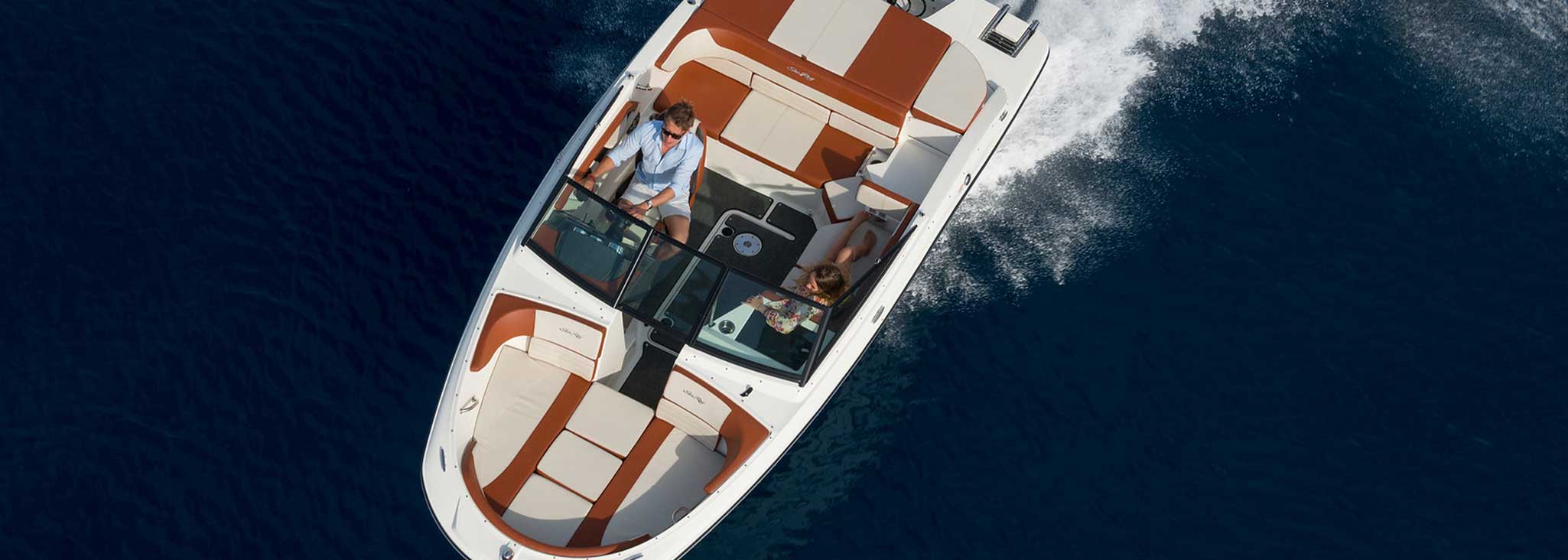 Sea Ray SPX 190 OB