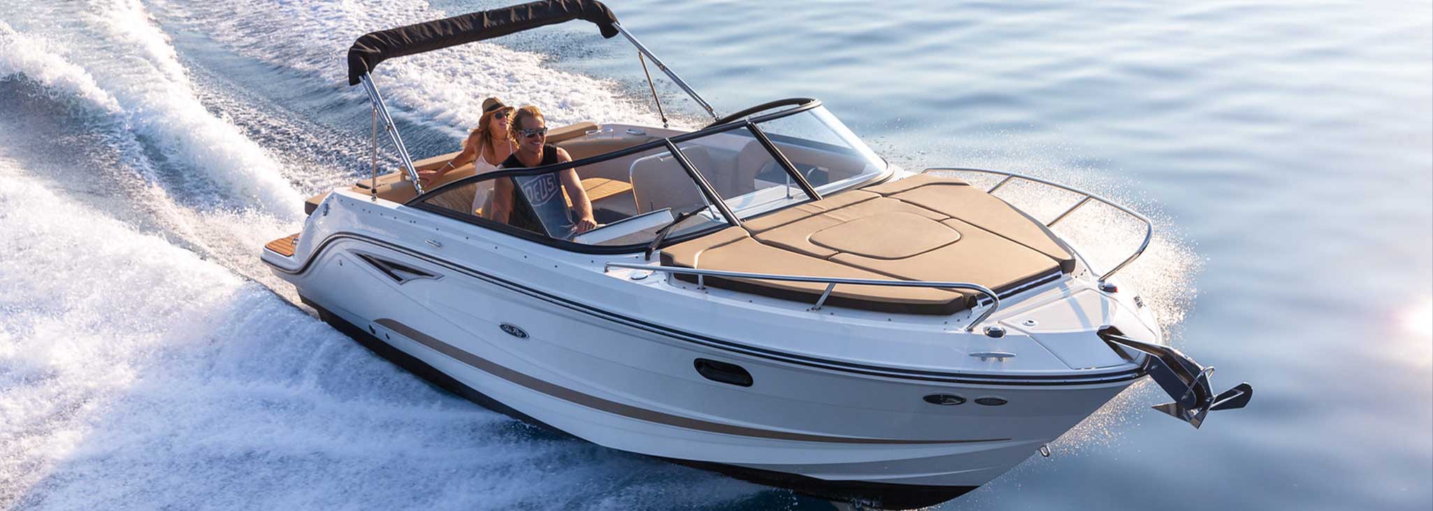 Sea Ray Sunsport 250