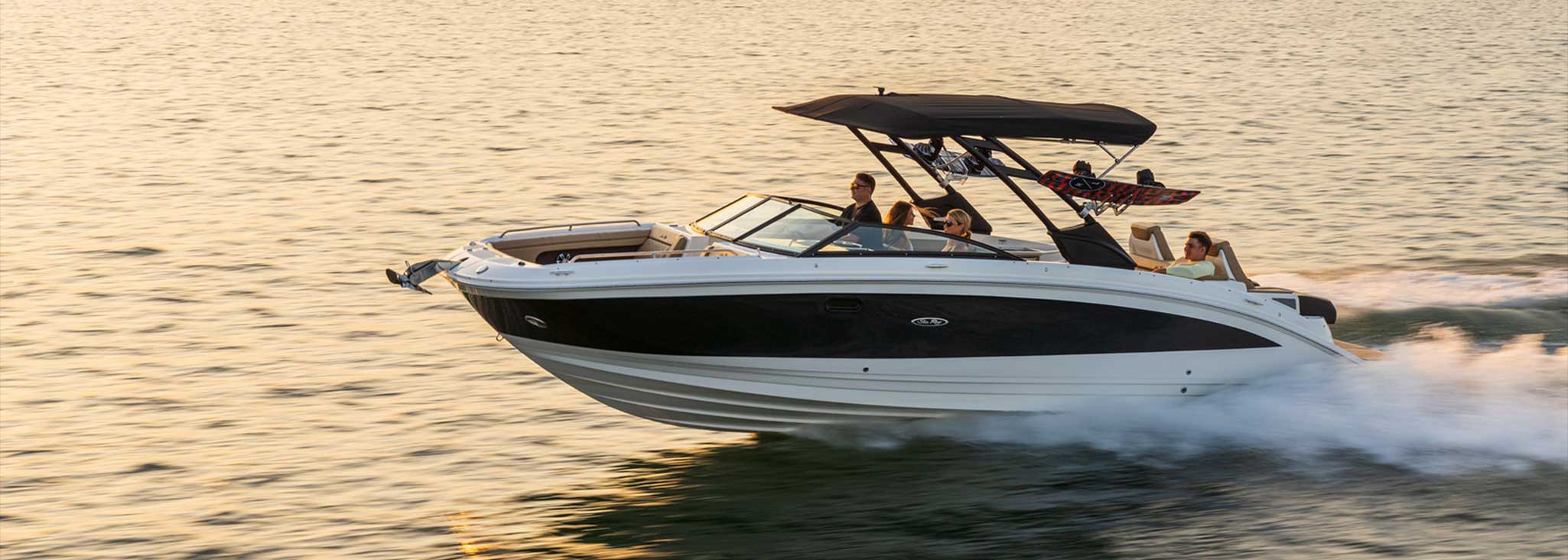 Sea Ray SDX 290