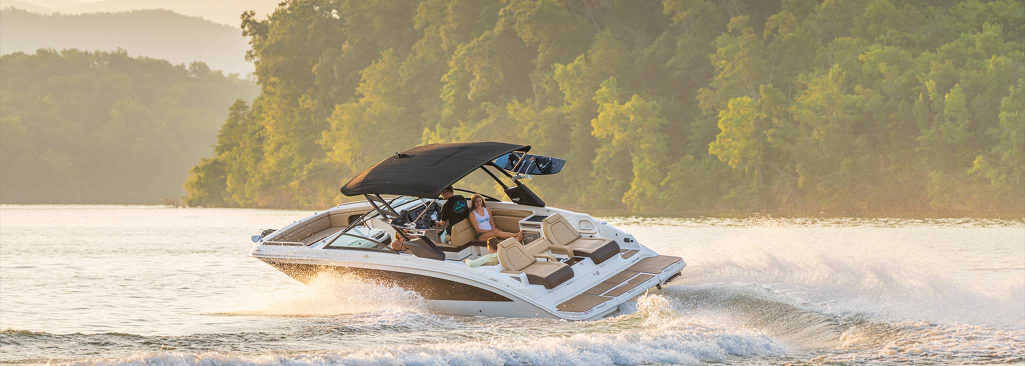 Sea Ray SDX 290