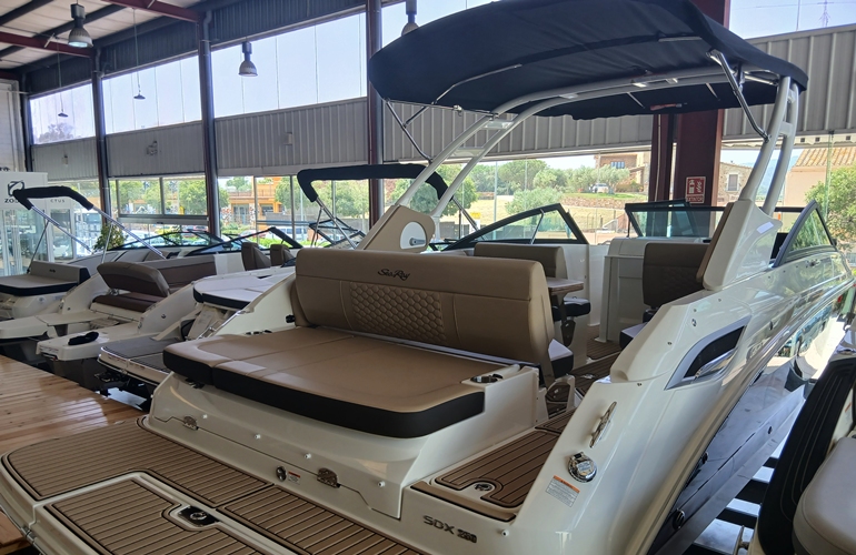 Sea Ray-250-SDX-13
