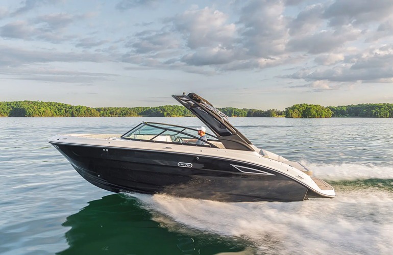 Sea Ray-250-SDX-15