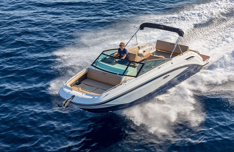 Sea Ray 250 SDX-3