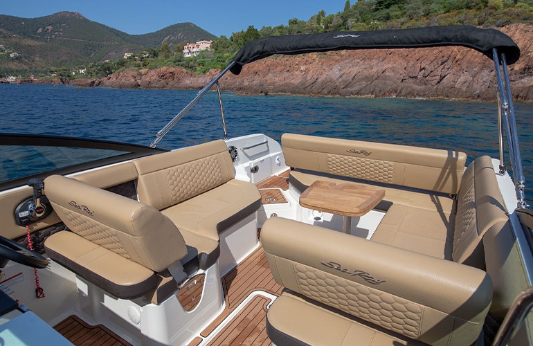 Sea Ray 250 SDX