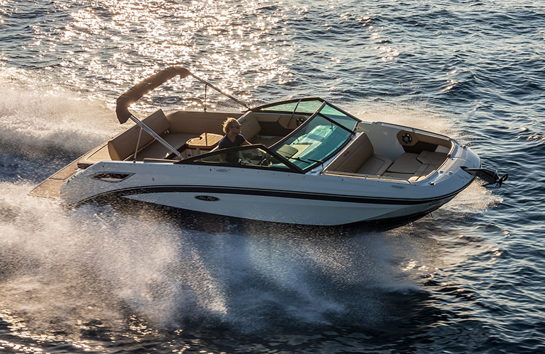 Sea Ray 250 SDX-6