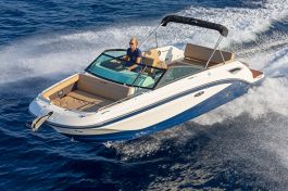 Sea Ray SDX 250