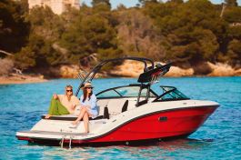 Sea Ray SPX 210-2
