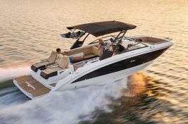 Sea Ray SDX 290