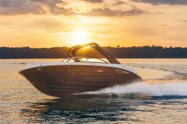 Sea Ray-250-SDX-1