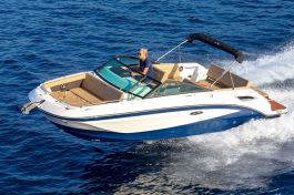 Sea Ray 250 SDX