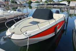 Quicksilver-755 Sundeck 1
