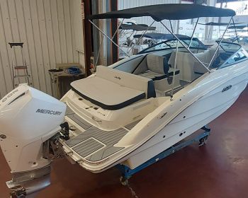 Sea Ray 210 SPX Outboard-1