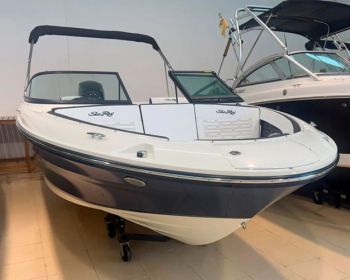 Sea Ray-190-SPX-stock-1