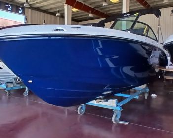 Sea Ray-230-SDX-stock-1